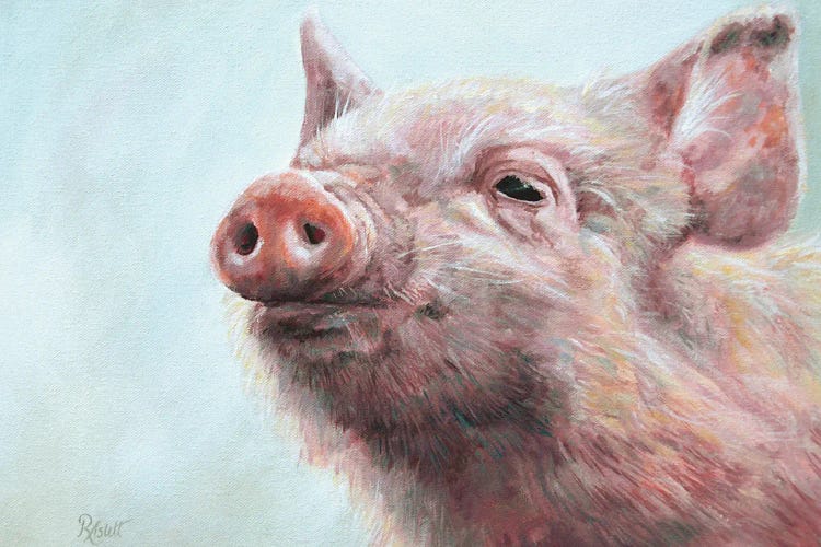 Pigsley