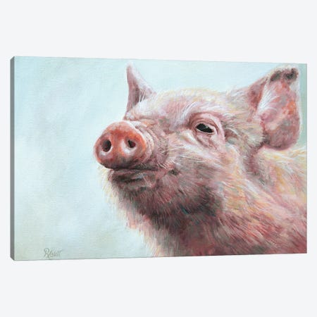Pigsley Canvas Print #RHC12} by Ruth Aslett Canvas Art