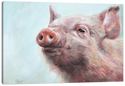 Pigsley Canvas Art Print - Ruth Aslett