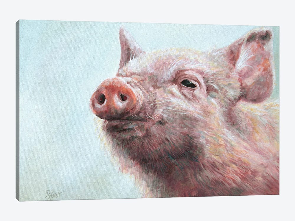 Pigsley by Ruth Aslett 1-piece Canvas Art Print