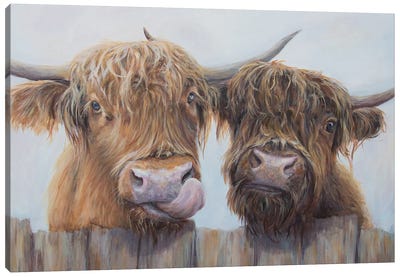 Mr And Mrs Canvas Art Print - Highland Cow Art