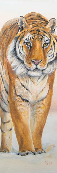 Tigers: Casper by Ruth Aslett