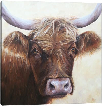 Brownie Canvas Art Print - Highland Cow Art