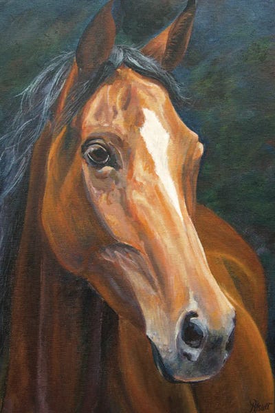 Chestnut by Ruth Aslett gallery poster