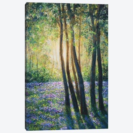 Bluebell Woods Canvas Print #RHC28} by Ruth Aslett Canvas Art Print