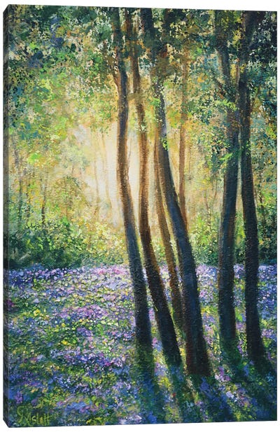Bluebell Woods Canvas Art Print - Ruth Aslett