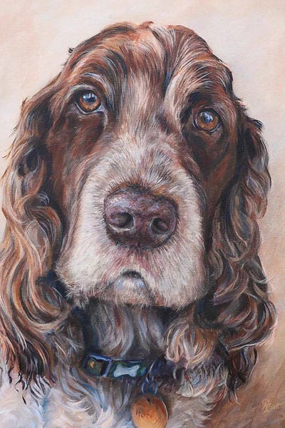 Harry by Ruth Aslett gallery poster