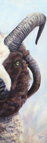 Sheep: Bentley by Ruth Aslett