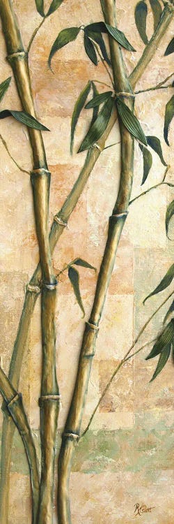 Bamboo