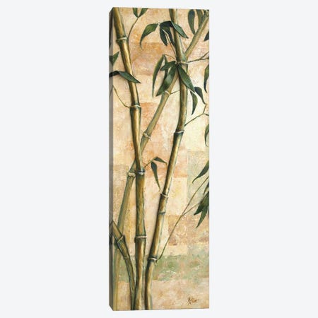 Bamboo Canvas Print #RHC31} by Ruth Aslett Canvas Wall Art