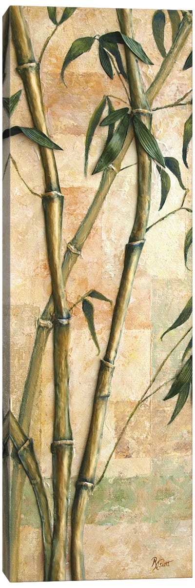 Bamboo Canvas Art Print - Ruth Aslett