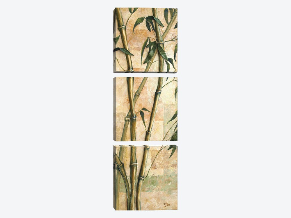 Bamboo by Ruth Aslett 3-piece Canvas Art