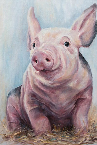 Pigs: Babe by Ruth Aslett