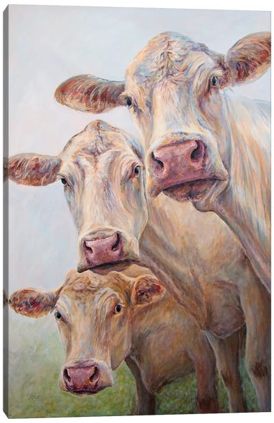 A Trio Of Cows Canvas Art Print - Cow Art