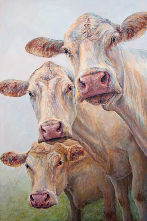 A Trio Of Cows