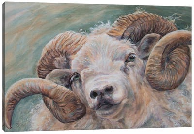 Hey Ewe Canvas Art Print - Ruth Aslett