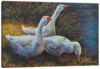 Huey, Duey, Lowey Canvas Art Print - Goose Art
