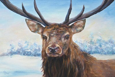 Snow Deer by Ruth Aslett gallery poster