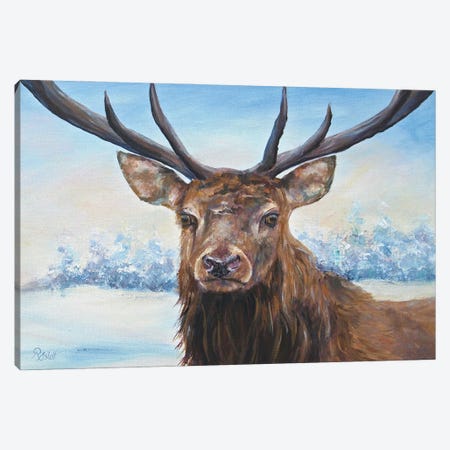 Snow Deer Canvas Print #RHC7} by Ruth Aslett Art Print