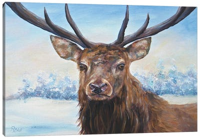 Snow Deer Canvas Art Print - Ruth Aslett