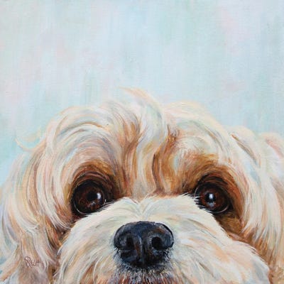 Sasha by Ruth Aslett gallery poster