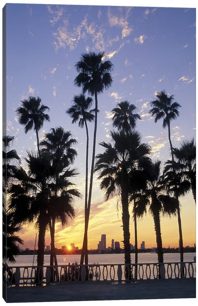Miami Skyline With Palm Trees Canvas Art Print - Miami Art