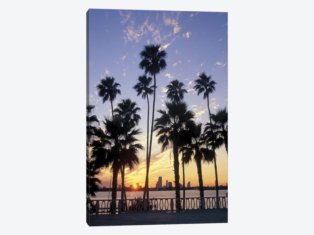 Miami Skyline With Palm Trees by Robin Hill 1-piece Canvas Wall Art