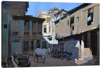 The Lone Resident Canvas Art Print - Ramesh Jhawar