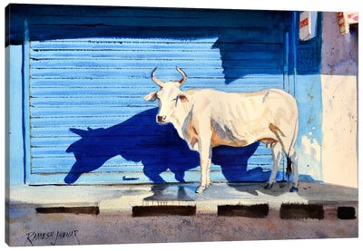 Basking In The Sun Canvas Art Print - Ramesh Jhawar