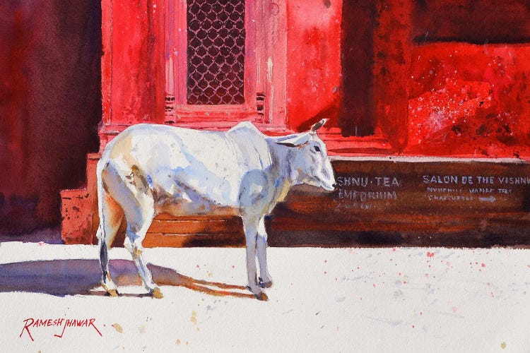 Benares Cow