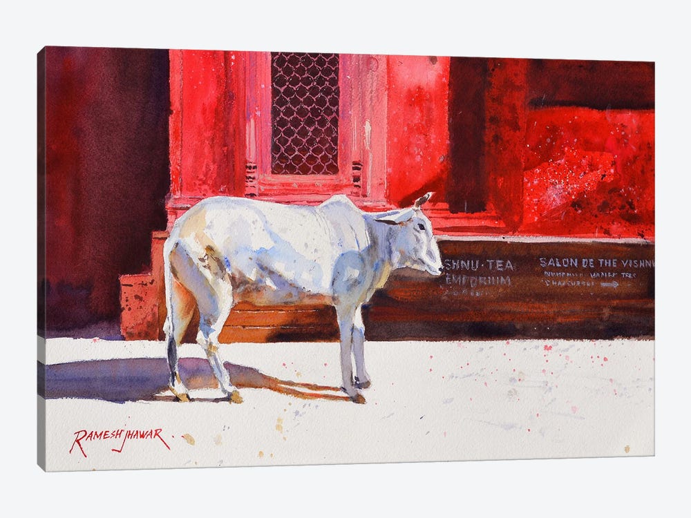 Benares Cow by Ramesh Jhawar 1-piece Art Print