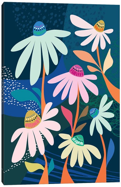 Midnight Daisies Canvas Art Print - Rachel Lee