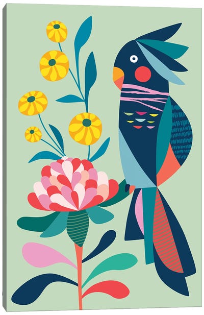 Cockatoo And Waratah Canvas Art Print - Rachel Lee