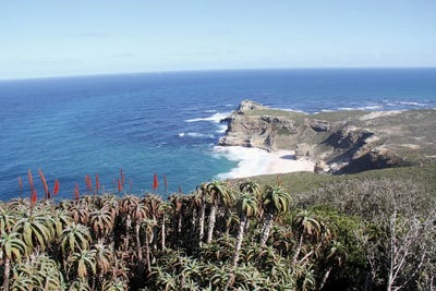Cape Of Good Hope View From Cape Point - Table Mountain National Park, Cape Peninsula, Western Cape, South Africa by Ramona Heiner framed canvas print