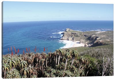 Cape Of Good Hope View From Cape Point - Table Mountain National Park, Cape Peninsula, Western Cape, South Africa Canvas Art Print - Ramona Heiner