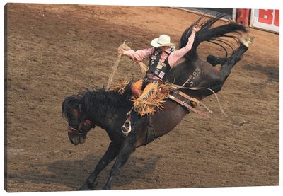 Saddle Bronc - Rodeo-Grandstand, Calgary Stampede, Calgary, Alberta, Canada Canvas Art Print - Ramona Heiner
