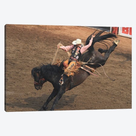 Saddle Bronc - Rodeo-Grandstand, Calgary Stampede, Calgary, Alberta, Canada Canvas Print #RHR130} by Ramona Heiner Canvas Artwork