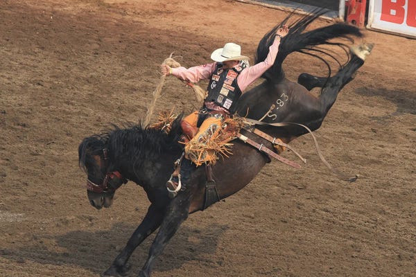 Alberta: Saddle Bronc - Rodeo-Grandstand, Calgary Stampede, Calgary, Alberta, Canada by Ramona Heiner