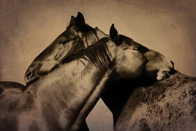 Yes that's the Spot by Rhonda Thompson art print