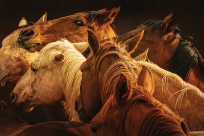 you are getting a little close by Rhonda Thompson art print