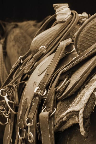 Rhonda Thompson: Days End by Rhonda Thompson