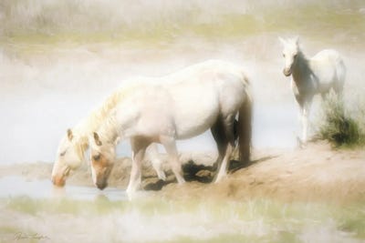 Angles in the Water by Rhonda Thompson canvas print