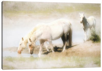 Angles in the Water Canvas Art Print - Rhonda Thompson