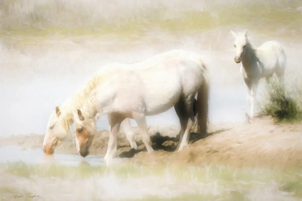 Rhonda Thompson: Angles in the Water by Rhonda Thompson