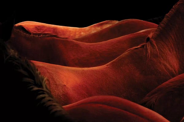 Rhonda Thompson: Gentle Waves by Rhonda Thompson