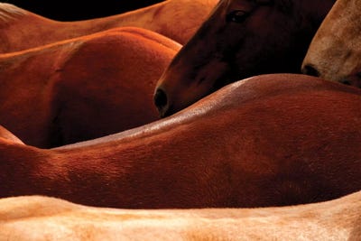 Let Us Through by Rhonda Thompson art print