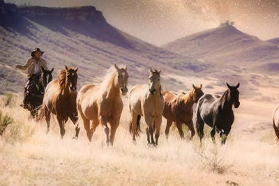 Mid-Night Round Up by Rhonda Thompson canvas print