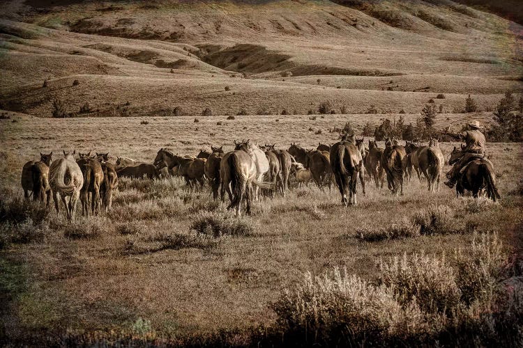 Moving Them Along by Rhonda Thompson wall art