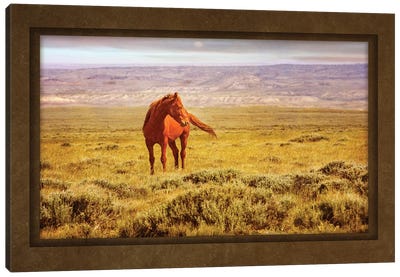 On The Look Out! Canvas Art Print - Rhonda Thompson