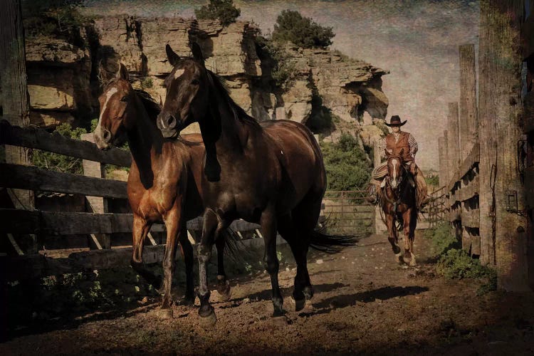 Pushing Them Along by Rhonda Thompson wall art